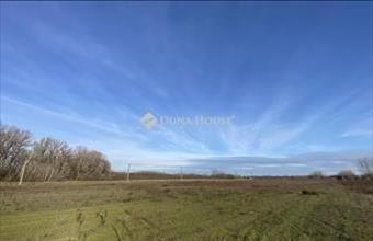 Eladó Tápiószentmártoni lakóövezeti telek hirdetés (19573474)