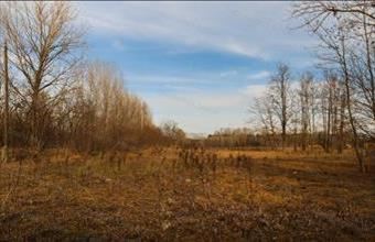 Eladó Tápiószentmártoni lakóövezeti telek hirdetés (42972322)