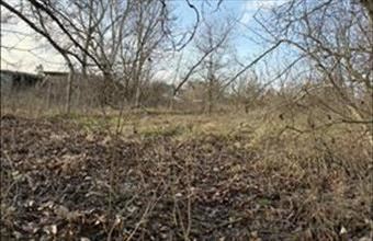 Eladó Tatai lakóövezeti telek hirdetés (37239755)