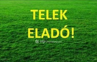 Eladó Nagykállói lakóövezeti telek hirdetés (42689253)