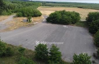 Eladó Tornyospálcai külterületi telek hirdetés (47927947)