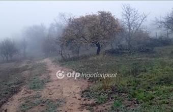Eladó Székesfehérvári lakóövezeti telek hirdetés (54823239)