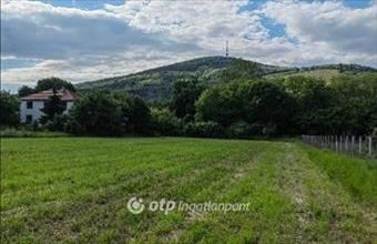 Eladó Tokaji lakóövezeti telek hirdetés (21159398)