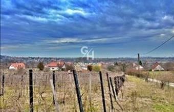 Eladó Lovasi hétvégi ház hirdetés (23489263)