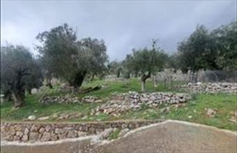 Eladó Görögországi lakóövezeti telek hirdetés (44297347)