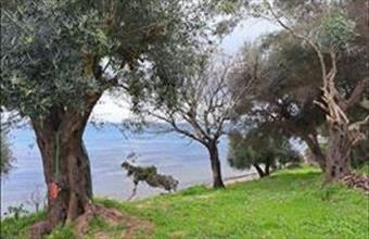 Eladó Görögországi lakóövezeti telek hirdetés (93479983)