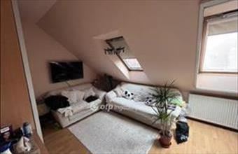 Eladó Szegedi tégla lakás hirdetés (45994738)