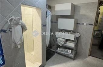 Eladó Gyáli családi ház hirdetés (67579344)