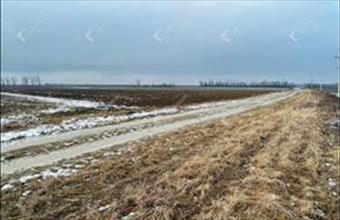 Eladó Peresztegi termőföld, szántó hirdetés (59392713)