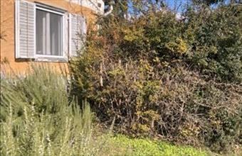 Eladó Csopaki családi ház hirdetés (58874739)