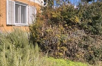 Eladó Csopaki családi ház hirdetés (58874739)