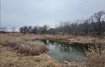 Eladó Balatonfüredi egyéb mezőgazdasági ingatlan hirdetés (55973533)