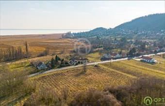 Eladó Szigligeti egyéb telek hirdetés (45223499)