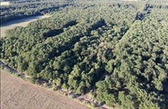 Eladó Kővágóörsi egyéb mezőgazdasági ingatlan hirdetés (46992354)