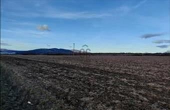 Eladó Gyöngyösi külterületi telek hirdetés (37463457)