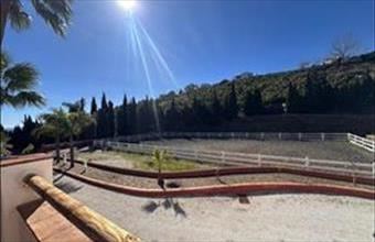 Eladó Spanyolországi tanya hirdetés (32465157)