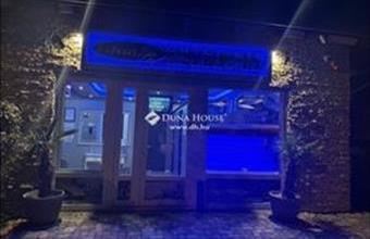 Eladó Vecsési családi ház hirdetés (47953693)