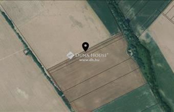 Eladó Gyömrői külterületi telek hirdetés (33476985)
