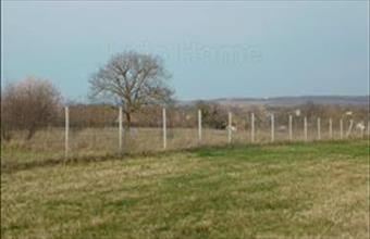 Eladó Balatonszárszói lakóövezeti telek hirdetés (83474434)