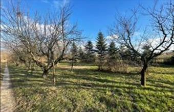 Eladó Tatabányai termőföld, szántó hirdetés (76336774)