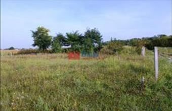 Eladó Szigetcsépi egyéb telek hirdetés (15788597)