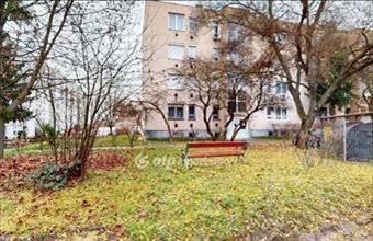 Eladó Miskolci tégla lakás hirdetés (53413516)