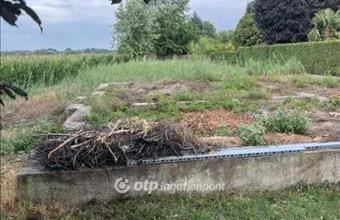 Eladó Csongrádi lakóövezeti telek hirdetés (63346834)