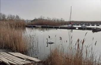 Eladó Velencei családi ház hirdetés (59334349)