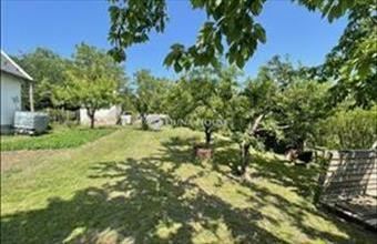 Eladó Zsámbéki családi ház hirdetés (37754434)