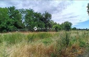 Eladó Martonvásári lakóövezeti telek hirdetés (21654918)