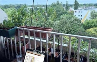 Eladó Budapest III. kerületi panel lakás hirdetés (33365277)