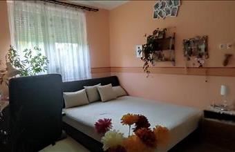 Kiadó Nyíregyházai családi ház hirdetés (42878454)