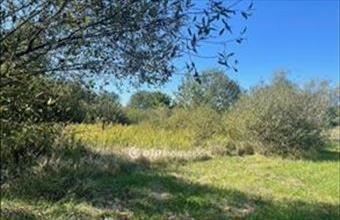 Eladó Nyíregyházai lakóövezeti telek hirdetés (17984975)