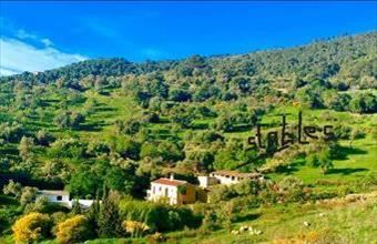 Eladó Spanyolországi tanya hirdetés (53491347)