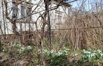 Eladó Nádudvari családi ház hirdetés (95842413)