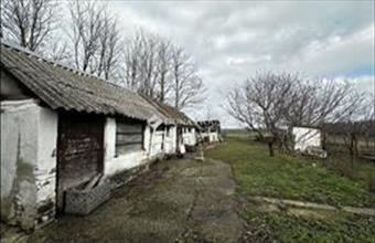 Eladó Nagyszokolyi családi ház hirdetés (73994436)