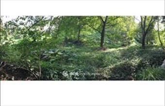 Eladó Pécsi lakóövezeti telek hirdetés (93749262)