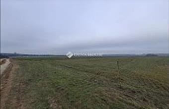 Eladó Sülysápi családi ház hirdetés (31852667)