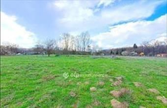 Eladó Nagykőrösi egyéb telek hirdetés (24928474)