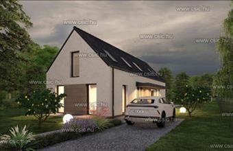 Eladó Diósdi családi ház hirdetés (49364265)