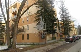 Eladó Ózdi tégla lakás hirdetés (41822433)