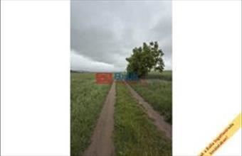 Eladó Péceli egyéb telek hirdetés (98454878)