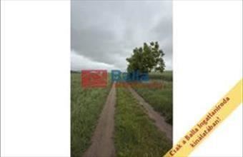 Eladó Péceli egyéb telek hirdetés (98454878)