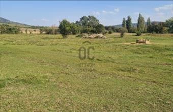 Eladó Köveskáli lakóövezeti telek hirdetés (44723493)