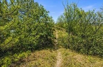 Eladó Kincsesbányai lakóövezeti telek hirdetés (73543384)