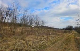 Eladó Fóti külterületi telek hirdetés (84324537)