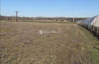 Eladó Kecskeméti külterületi telek hirdetés (64753147)