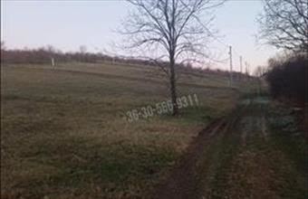 Eladó Erdőkürti egyéb telek hirdetés (72599454)