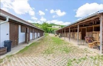 Eladó Szekszárdi tanya hirdetés (92757727)