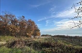 Eladó Balatonszepezdi külterületi telek hirdetés (35972765)